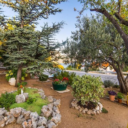 Apartment Mande Брист Екстер'єр фото